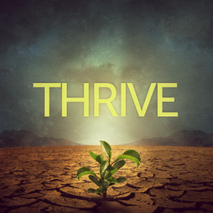 Thrive: Shining your Light without IFs ANDs or BUTs
