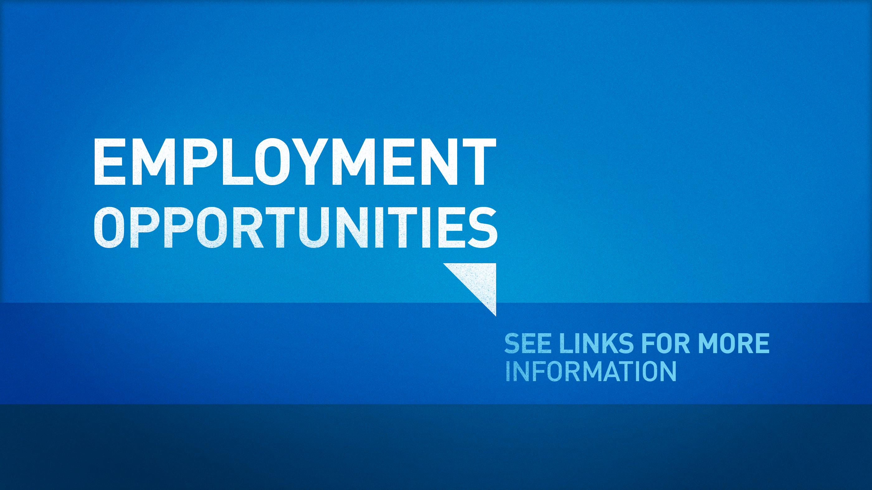 Summer Employment Opportunities