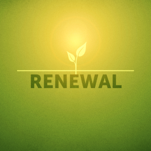Seeking Renewal